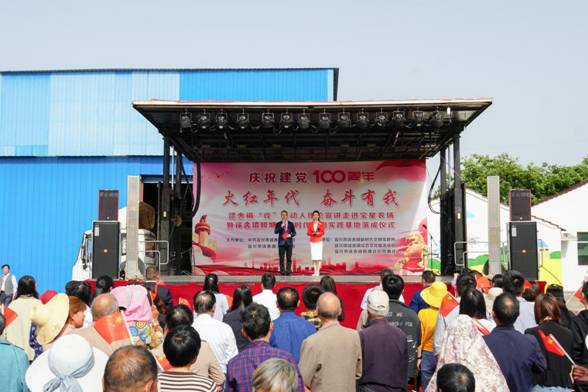 三亚农民冬种忙碌背后的致富故事